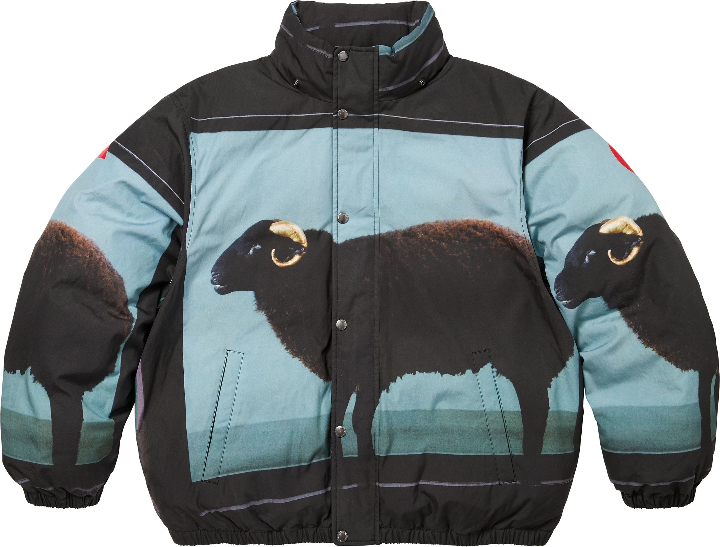 Supreme/Damien Hirst Down Puffer Jacket view 11